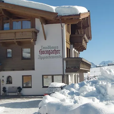 Horngacher